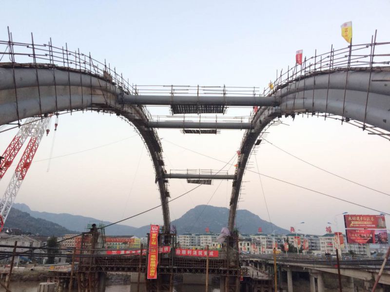 浙江省温州市龙港大桥改建工程